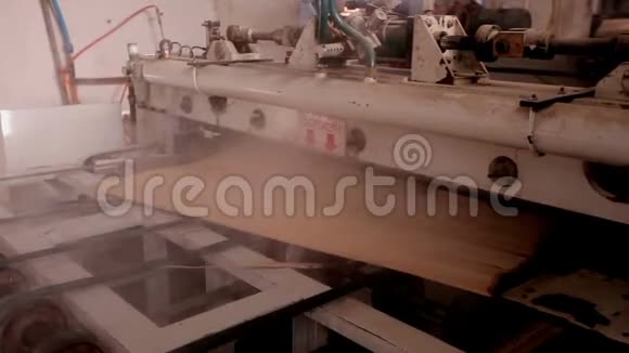 家具厂生产胶合板视频的预览图