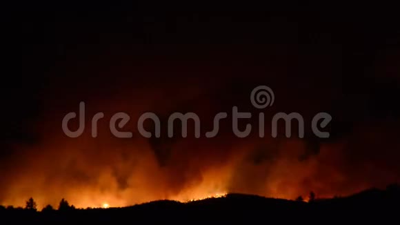 夜间大森林火灾时间的推移视频的预览图