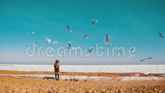 饥饿的海鸥飞翔在冰冻的冰盖海洋上女人飞视频的预览图