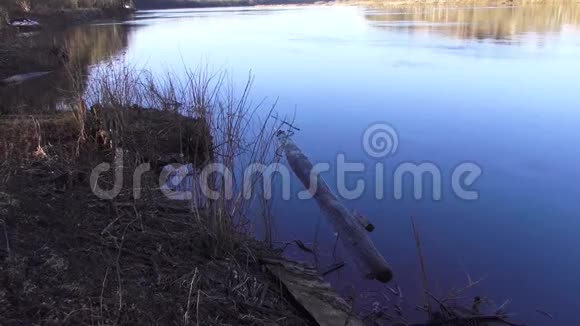 德维纳西部采石场和河流之间的春季景观视频的预览图