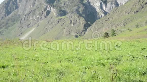 徒步旅行者带着背包在绿色的山地草地上行走夏季运动和娱乐理念视频的预览图