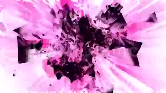 粉红色和黑色彩色立方体喷涂条纹视频的预览图