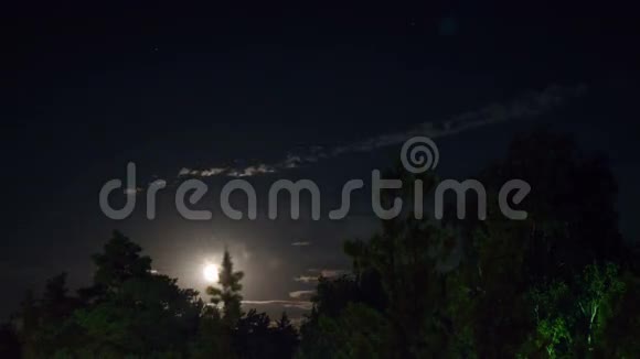 夜月在地平线上升起树木在夜空和云彩的背景上升起视频的预览图