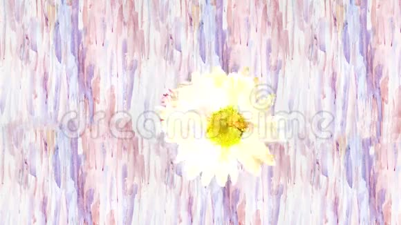 用美丽的花朵抽象背景表演水彩视频的预览图
