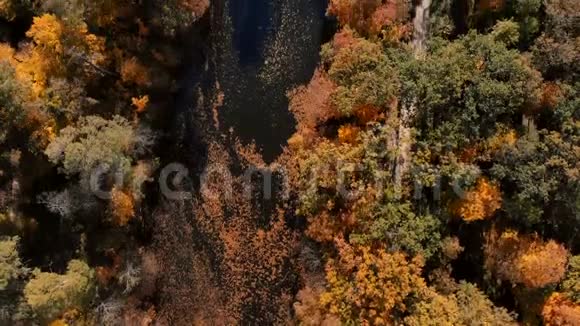 带湖的秋季公园鸟瞰图视频的预览图