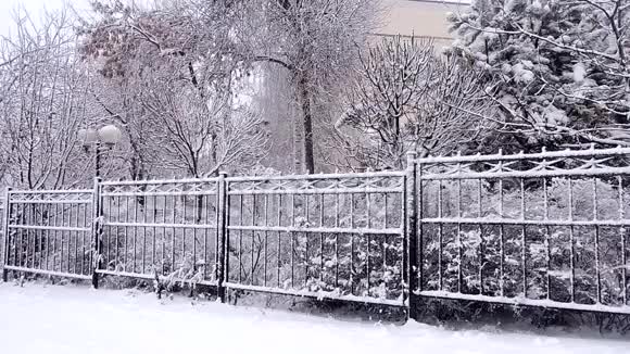 冬天降雪在城市里柔和的圣诞节早晨降雪视频的预览图