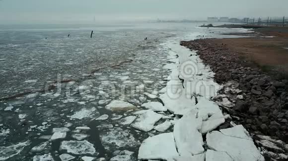 飞越北部海湾融化的冰冰冻的芬兰湾和融化的冰的海岸杰出的风景视频的预览图