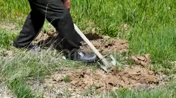 一个园丁工人用铲子挖地视频的预览图