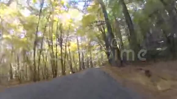 沿森林高地的风景之旅视频的预览图