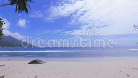 印度洋和比乌瓦隆海滩马河岛塞舌尔视频的预览图
