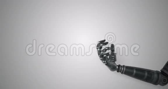 机器人手呈现数字人脑视频的预览图