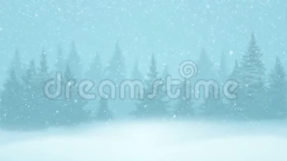 冬季傍晚森林中覆盖着霜冻和雪的降雪和杉树循环运动图形视频的预览图