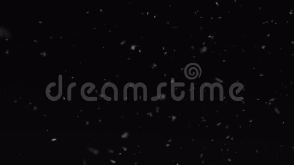 下雪了雪要来了循环黑色背景视频的预览图