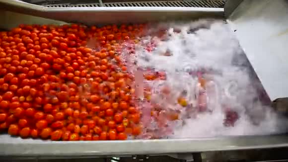 番茄酱生产自动生产线视频的预览图