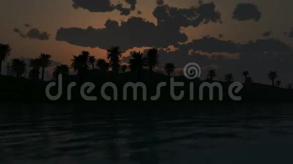 太阳和棕榈在海洋中升起视频的预览图
