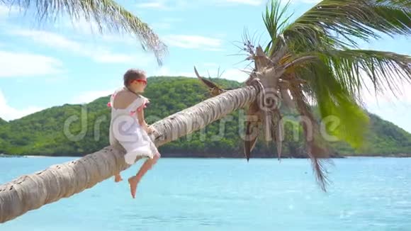 暑假期间坐在棕榈树上的热带海滩可爱的小女孩视频的预览图
