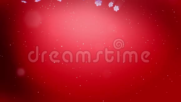 装饰性的3d雪花在红色背景下在夜间缓慢地漂浮在空气中作为圣诞动画使用新年视频的预览图