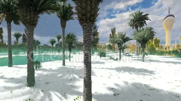白雪皑皑的棕榈树之间有一个平静的小湖视频的预览图