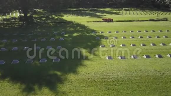 墓地墓碑和树木视频的预览图