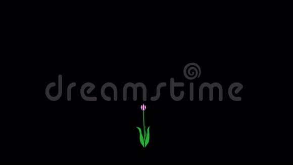 粉红花耙快速和缓慢透明卡通视频的预览图