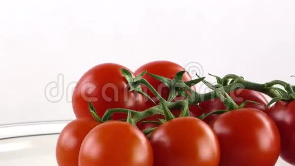 盘子上的番茄视频的预览图