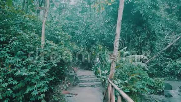 热带雨林丛林中的女孩视频的预览图