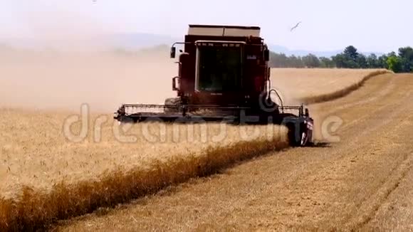 收割者收割小麦视频的预览图