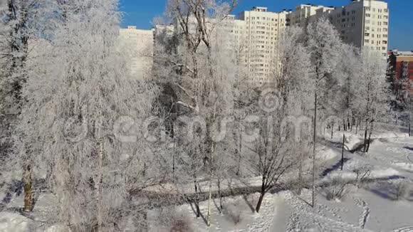 俄罗斯莫斯科冬季冰雪覆盖的城市公园视频的预览图