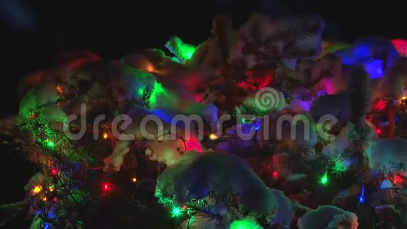 圣诞树上的圣诞灯视频的预览图