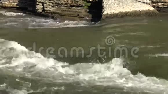 河流溪流小溪水自然视频的预览图