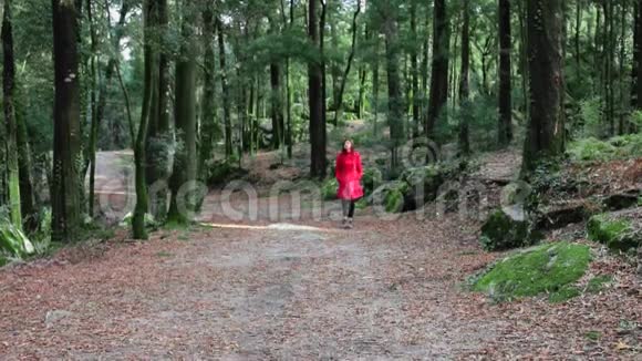 穿着红色大衣的女人独自走在森林里视频的预览图