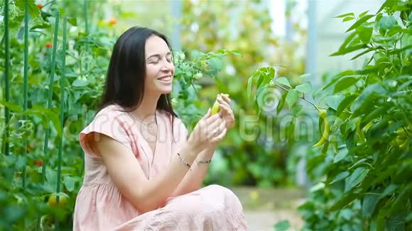 温室里有一篮子绿色植物和蔬菜的年轻女人收获时间视频的预览图