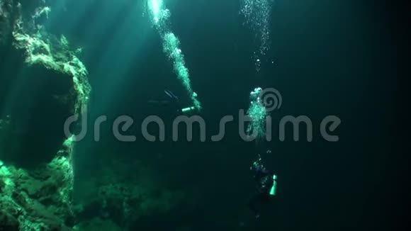 尤卡坦洞穴在水下视频的预览图