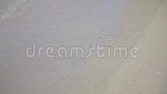 海浪在阳光明媚的日子游上岸视频的预览图