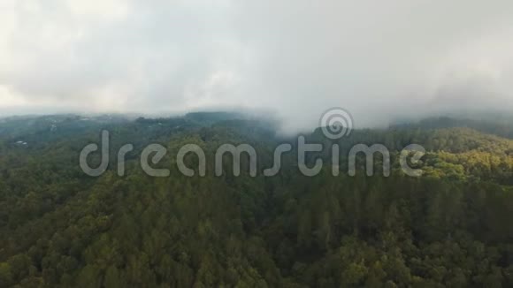 雨林在云巴厘岛印度尼西亚视频的预览图