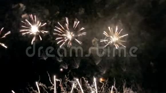 烟花在节日之夜庆祝视频的预览图