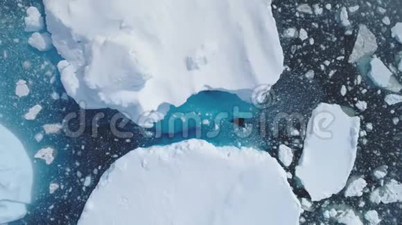 南极冰山海洋海景鸟瞰图视频的预览图