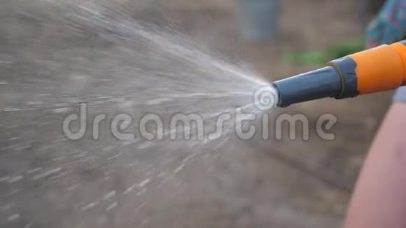 园艺园林护理理念泼水慢动作视频女人拿着花园软管浇水园丁视频的预览图