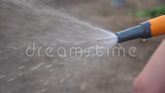 生活方式园艺花园护理理念泼水慢动作视频女人拿着花园水管浇水视频的预览图