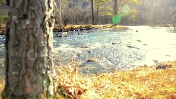 多利滑块拍摄了在森林附近的一条山河里飞溅的水潮湿的岩石和阳光水平稳定视频的预览图