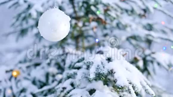 在灯光的背景下在冬天的森林里在一棵白雪覆盖的活泼的树上一个圣诞玩具视频的预览图