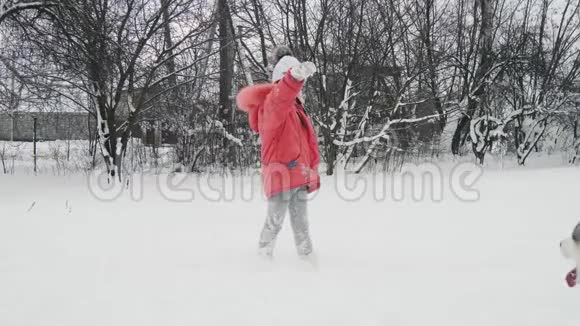 小女孩在户外雪地上慢动作地和西伯利亚哈士奇马拉穆特狗玩耍视频的预览图