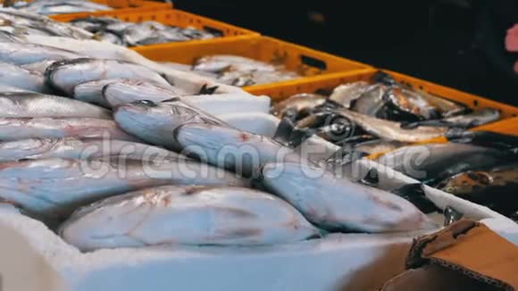 街市集新海冰鱼展视频的预览图