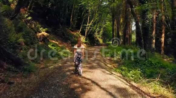 阳光明媚的一天女人在森林里散步视频的预览图
