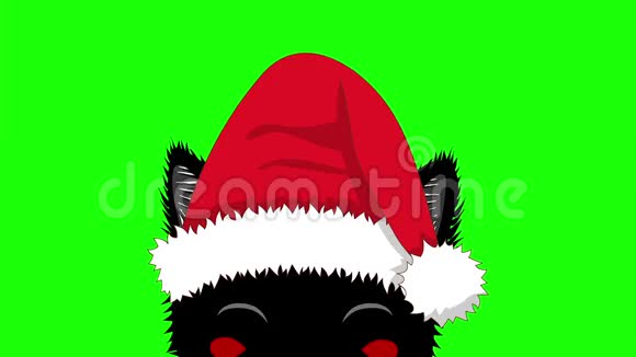 黑猫和圣诞帽偷吃圣诞贺卡视频的预览图