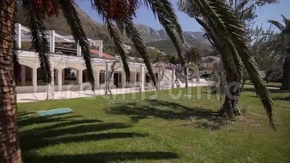 黑山的枣树视频的预览图
