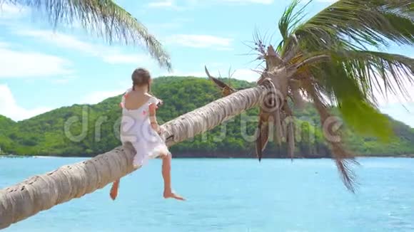 暑假期间棕榈树热带海滩可爱的小女孩视频的预览图