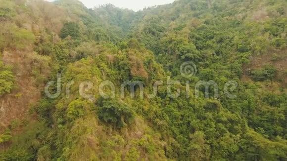 山林景观巴厘岛视频的预览图