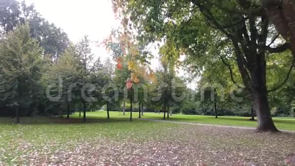 城市公园里五颜六色的空中树木视频的预览图