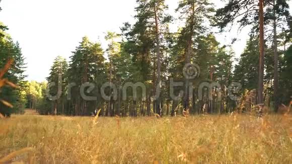 少女在森林附近的秋田上疾驰视频的预览图